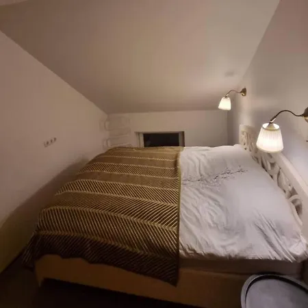 Rasos Apartamentai Senamiestyje * Klaipėda