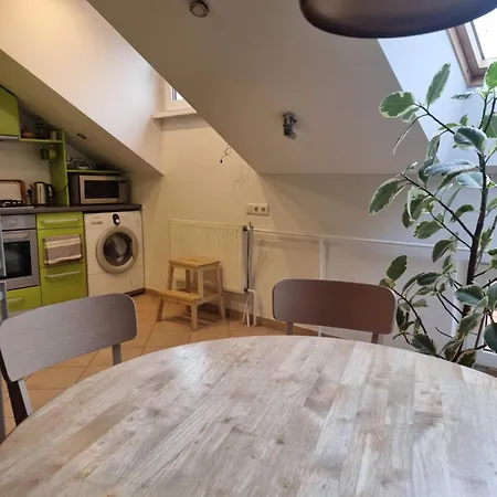 Rasos Apartamentai Senamiestyje *