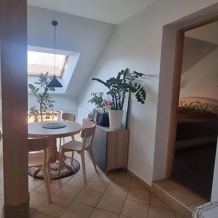Rasos Apartamentai Senamiestyje Apartman *